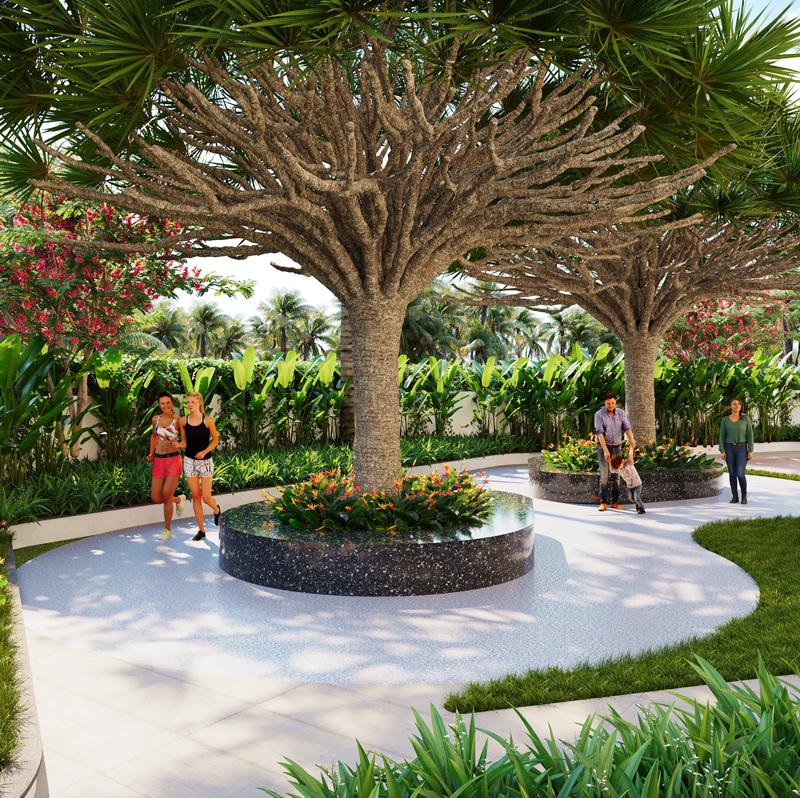 DESIGNER LANDSCAPING DESIGNER LANDSCAPING